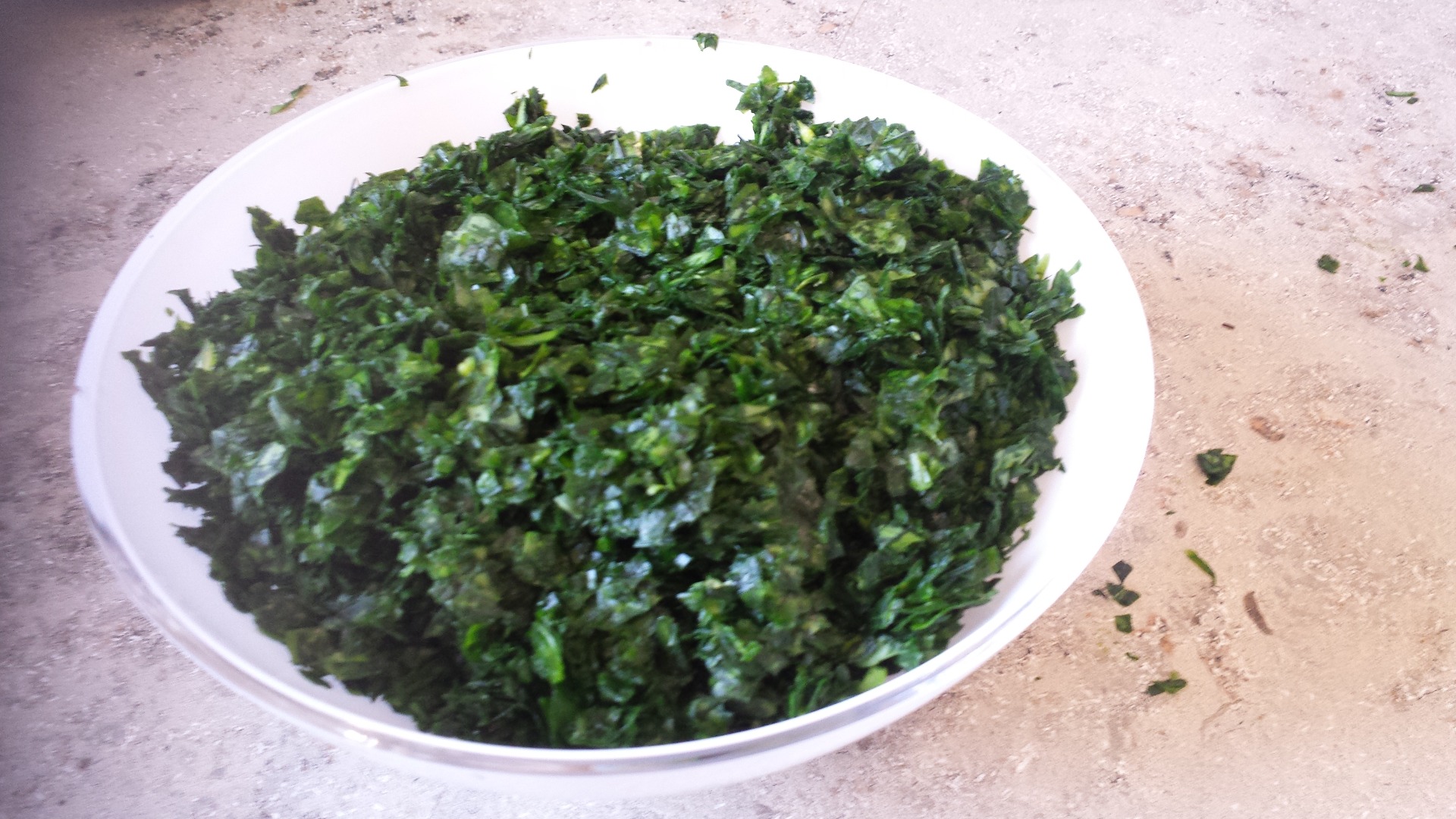 Bärlauchpesto, Foto: Steffi Goldberg